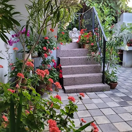 Guest house Didi, *