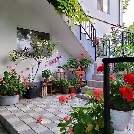 Guest house Didi,