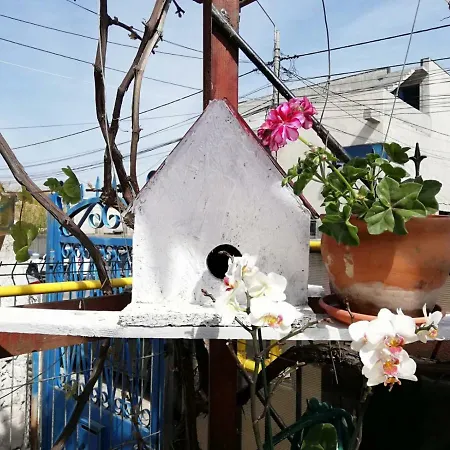 Gæstehus Didi, Mangalia
